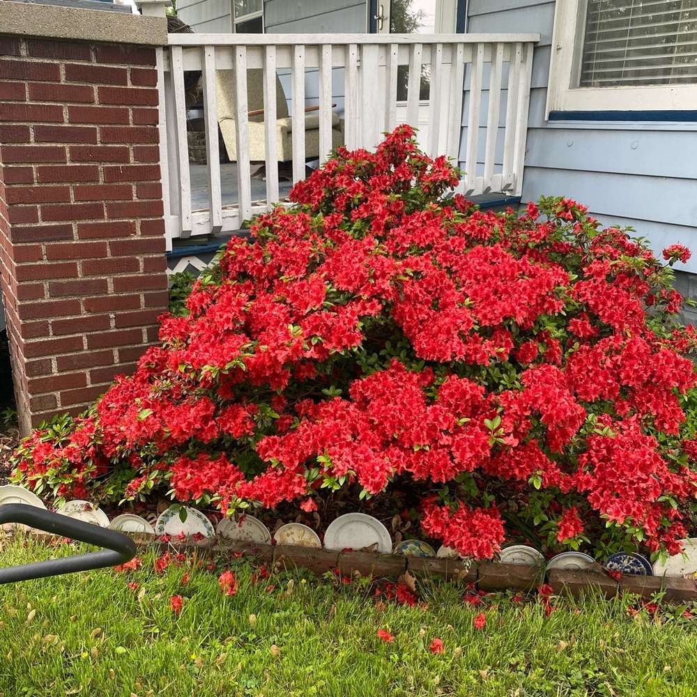 Meet your Posher, Julia